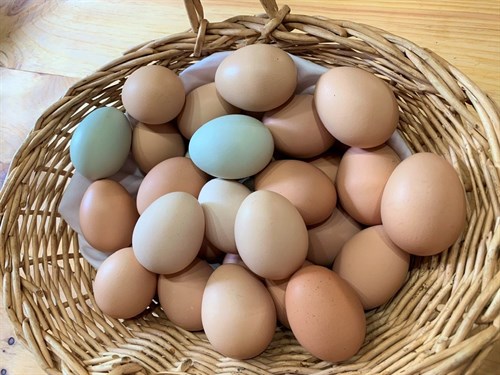 Happy Hen Eggs