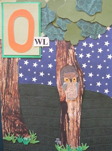 O- Owl